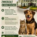 Zapobieganie bezdomności zwierząt