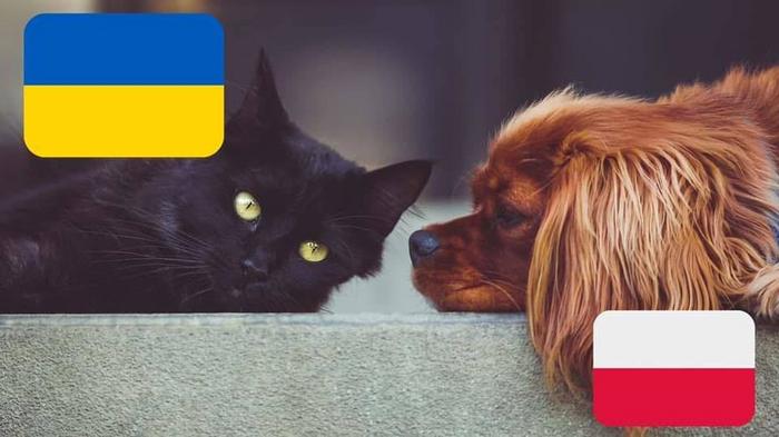 Informacja dla właścicieli zwierząt