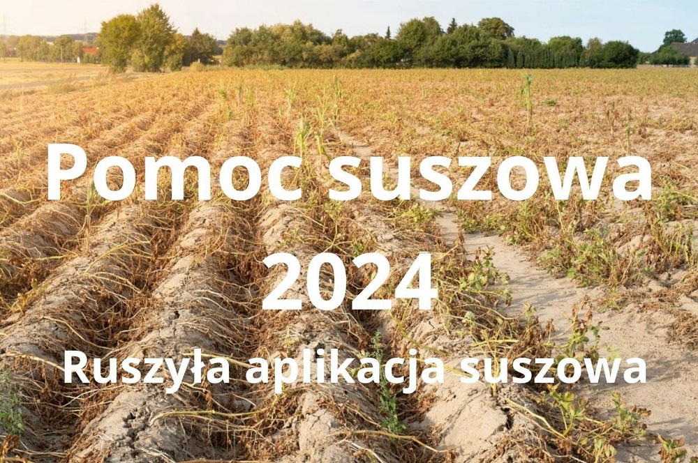 Aplikacja suszowa 2024