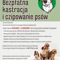 Program bezpłatnej kastracji i czipowania psów