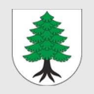 Zawiadomienie o XII sesji Rady Miejskiej w Myszyńcu - 29 stycznia 2025 r.