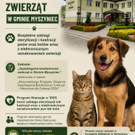 Zapobieganie bezdomności zwierząt