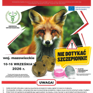 Szczepienie lisów przeciwko wściekliźnie na Mazowszu