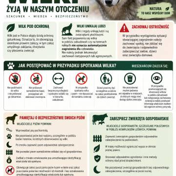 Ulotka informacyjna w sprawie występowania wilków oraz postępowania w przypadku ich spotkania