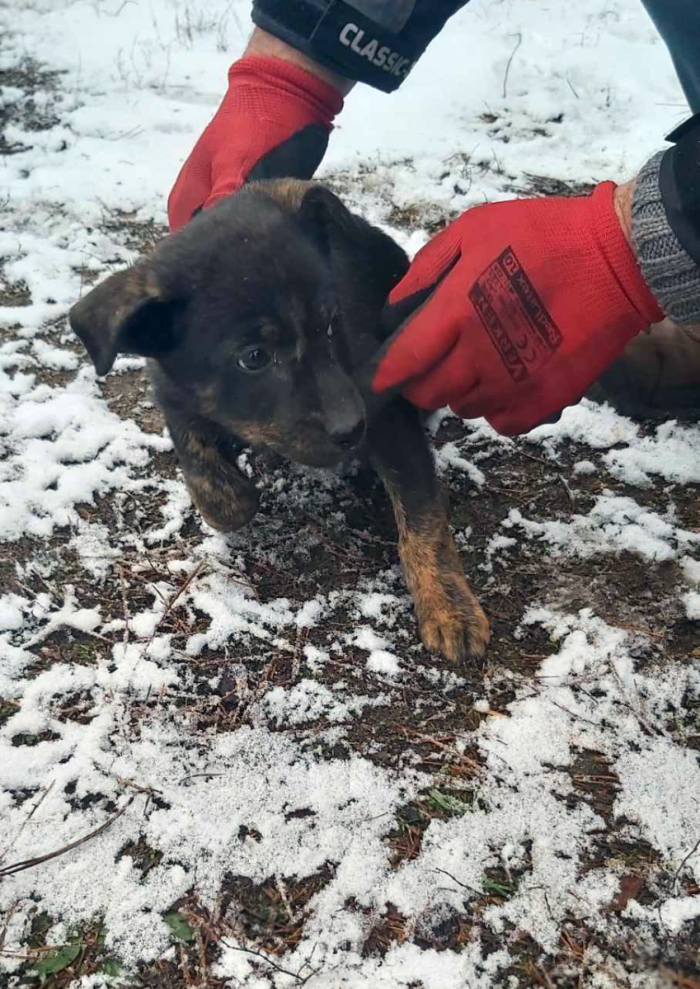 received_2563508913816932