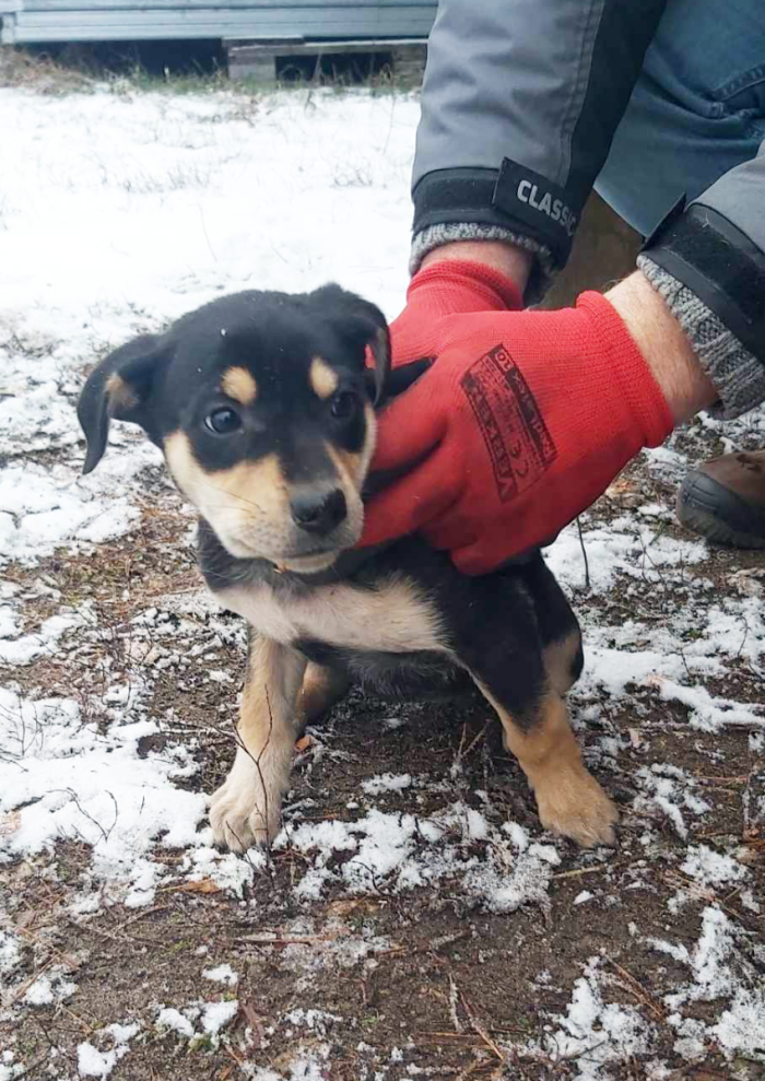 received_321268347322896