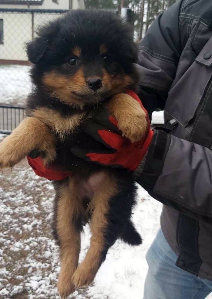 received_3570261629880969