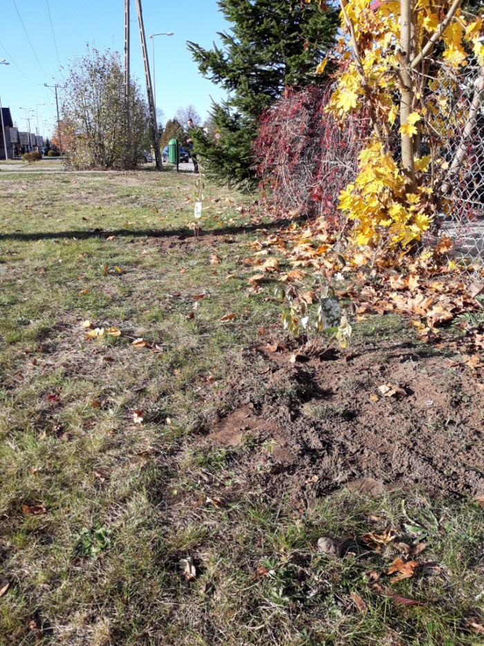 20181031_123814