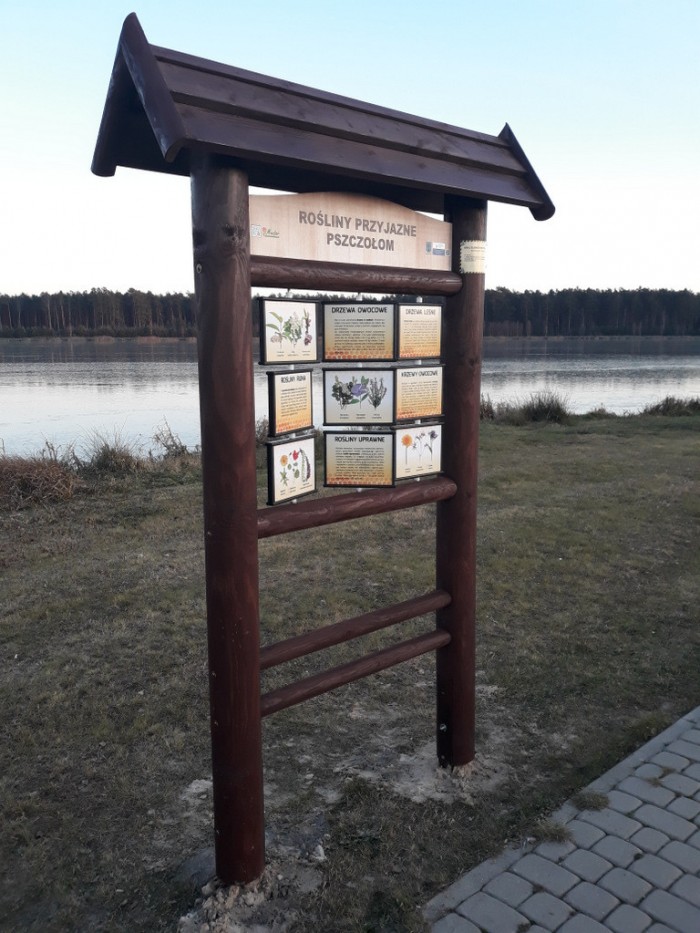 20181129_150851